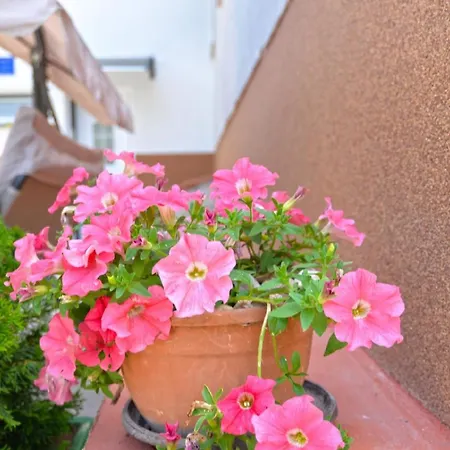 Fuer 2 Personen Ca 40 Qm In Fazana, Istrien Istrische Riviera Apartment Fazana